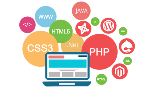web development company in Mumbai